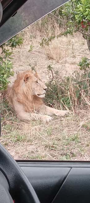 Nairobi: 3 Days Safari in Kenya - Is This Tour Right for You?
