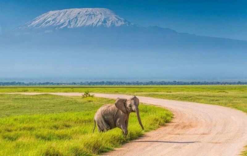 Nairobi: 4-Day Amboseli National Park Safari with Flights - Practical Tips for Travelers