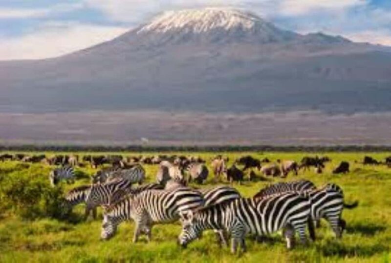 Nairobi: 4-Day Amboseli National Park Safari with Flights - FAQs