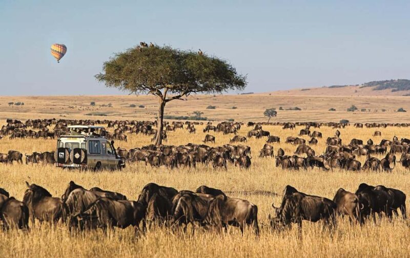 Nairobi: 4-Day Masai Mara and Lake Nakuru Camping Safari - What’s Included and What’s Not