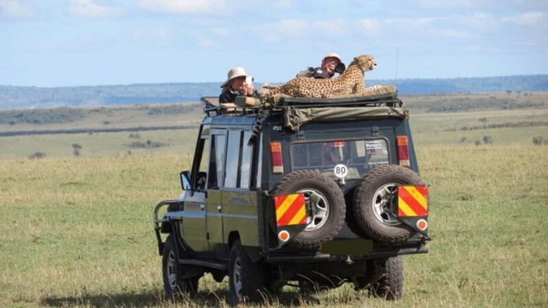 Nairobi: 4-Day Masai Mara and Lake Nakuru Camping Safari - The Experience: Authentic and Practical