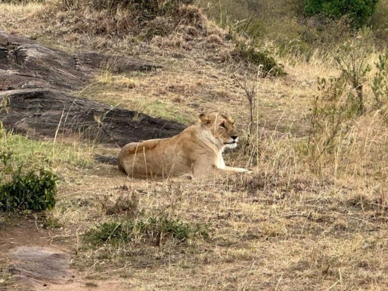 Nairobi: 5-Day Hells Gate, Lake Naivasha and Amboseli Parks - Analyzing the Experience: A Detailed Review