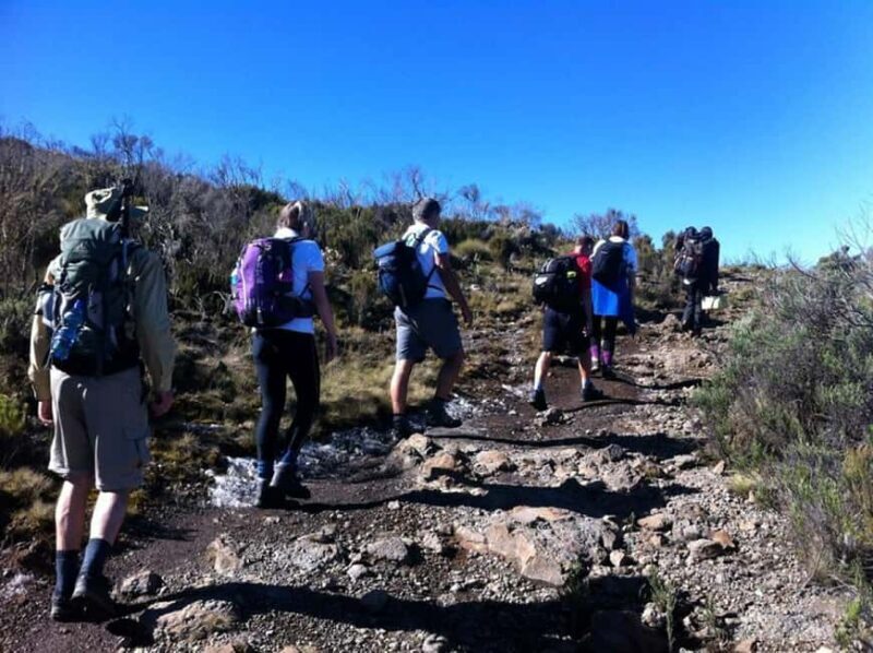 Nairobi: 5-Day Mount Kenya Climbing Tour - The Logistics and Experience