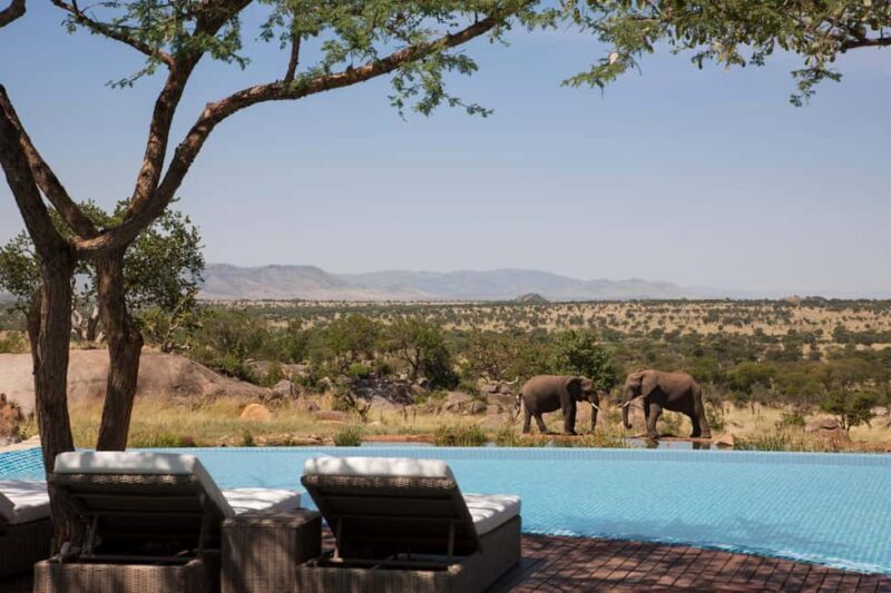 Nairobi: 9-Day Safari and Beach Holiday with Accommodation - Beach Days at Diani Beach