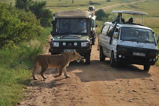 Nairobi Airport Layover Half Day Tour to Nairobi National Park - The Cost and Value Equation