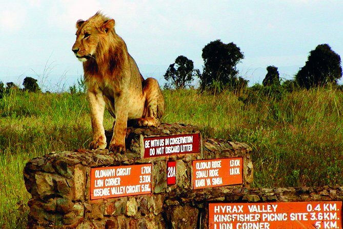 Nairobi Airport Layover Half Day Tour to Nairobi National Park - Who Will Love This Tour?