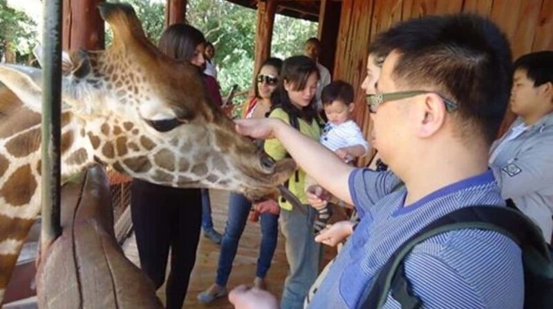 Nairobi Airport Layover:Tour Giraffe Center and Beads Center - Evaluating the Experience: What Travelers Say