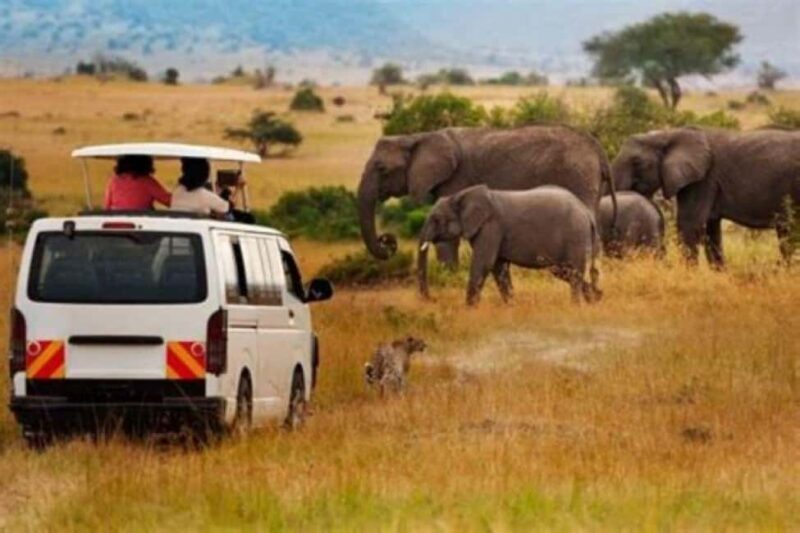 Nairobi: Amboseli National Park Day Tour with Lunch private. - Introduction: What Makes This Amboseli Day Tour Stand Out?