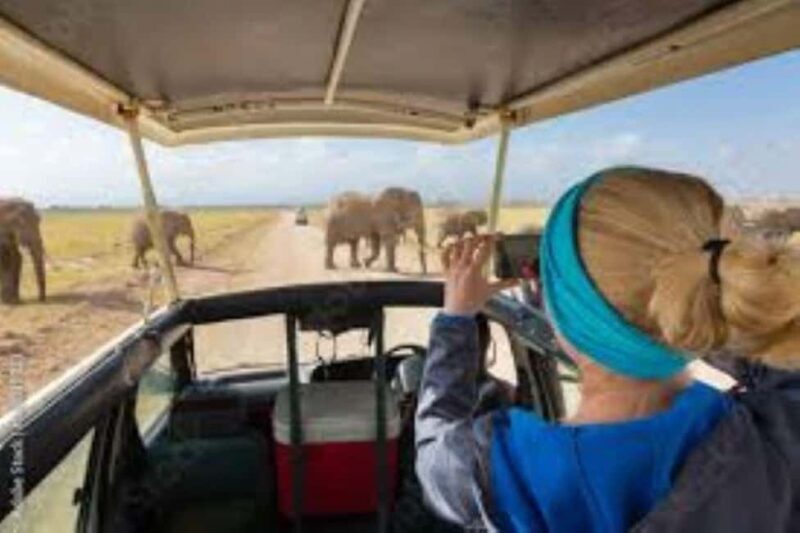 Nairobi: Amboseli National Park Day Tour with Lunch private. - The Sum Up: Is This Tour Worth It?