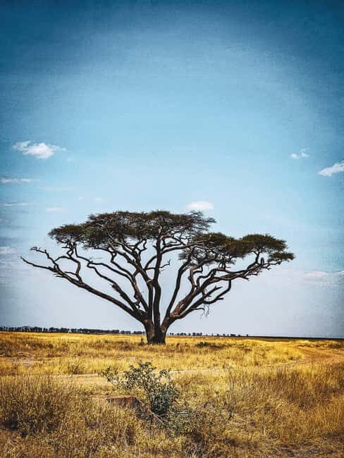 Nairobi: Amboseli National Park & Maasai Village Day Tour - The Authentic Experience