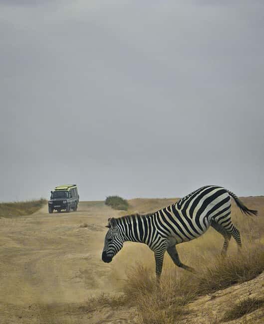 Nairobi: Amboseli National Park & Maasai Village Day Tour - The Views and Photography Opportunities