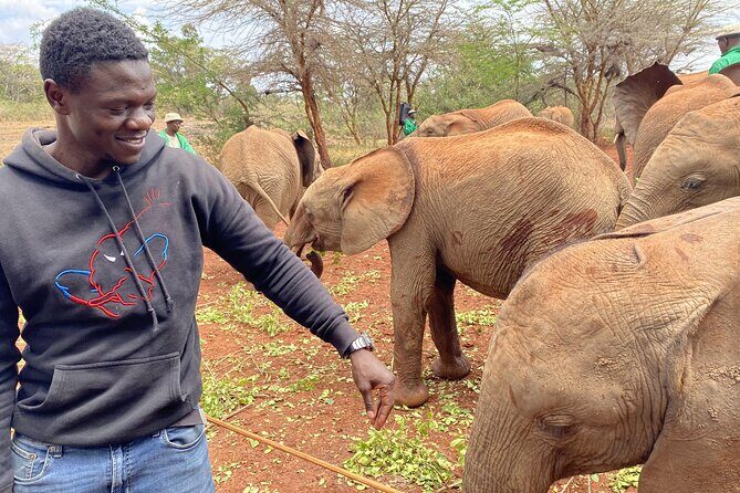 Nairobi City Guided Walking Tour - The Sum Up