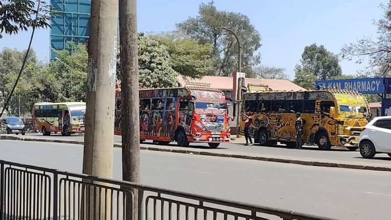 Nairobi City Tour (Historical & Modern Nairobi) - A Balanced View: Pros and Cons