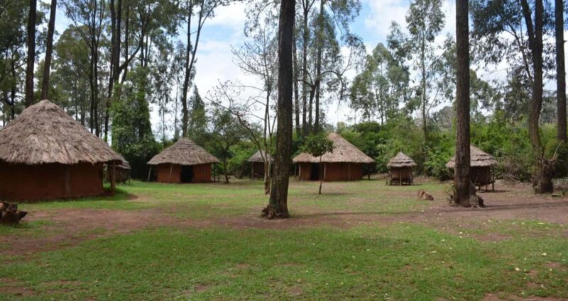Nairobi: City Tour with Bomas of Kenya Visit - Key Points