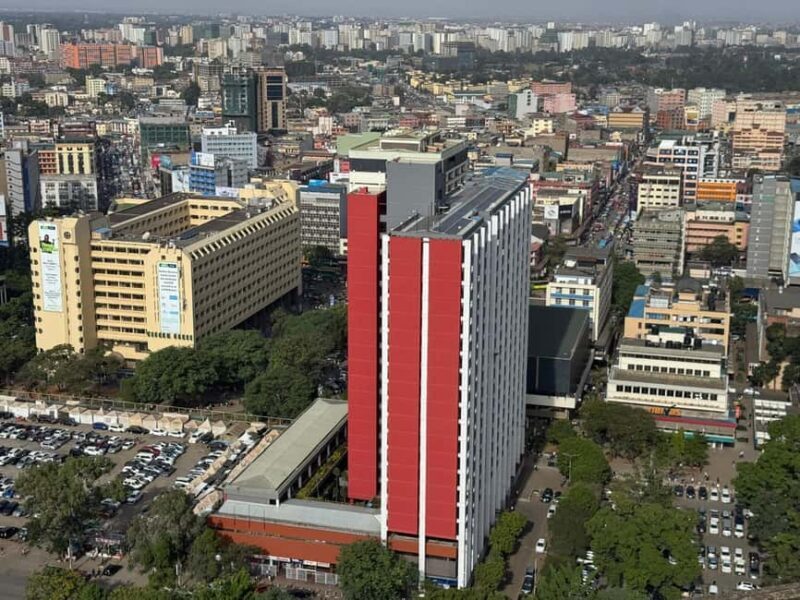 Nairobi: City Tour with Local Guide - An Introduction to the Nairobi City Tour with a Local Guide