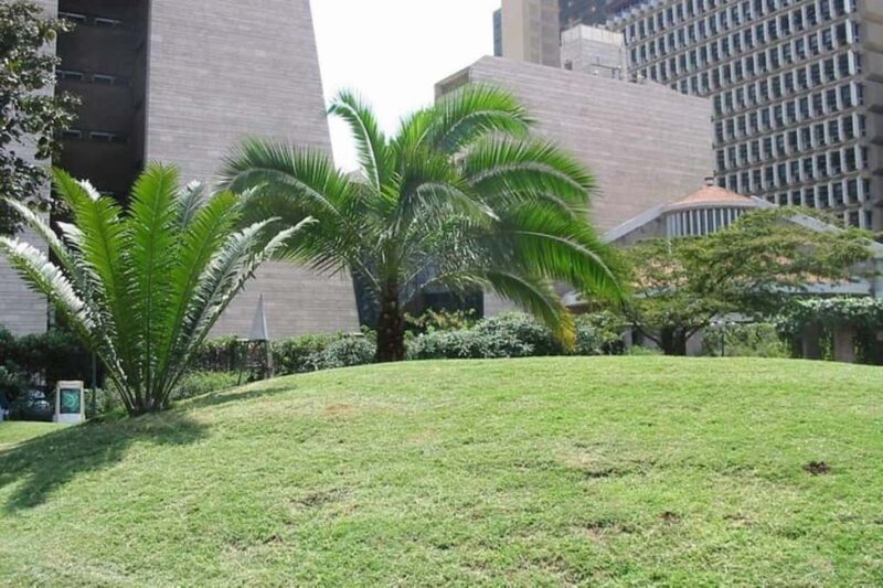 Nairobi: City Tour with Nairobi National Museum Visit - An In-Depth Look at the Tour Experience