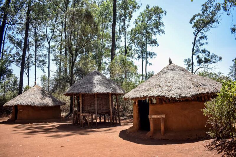 Nairobi City Tours - Authentic Reviews and Feedback