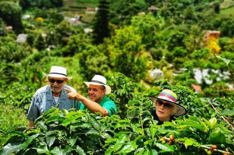 Nairobi: Coffee Factory and Farm Tour - Key Points