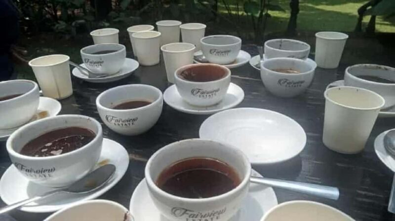 Nairobi: Coffee Factory and Farm Tour - Why This Tour Matters