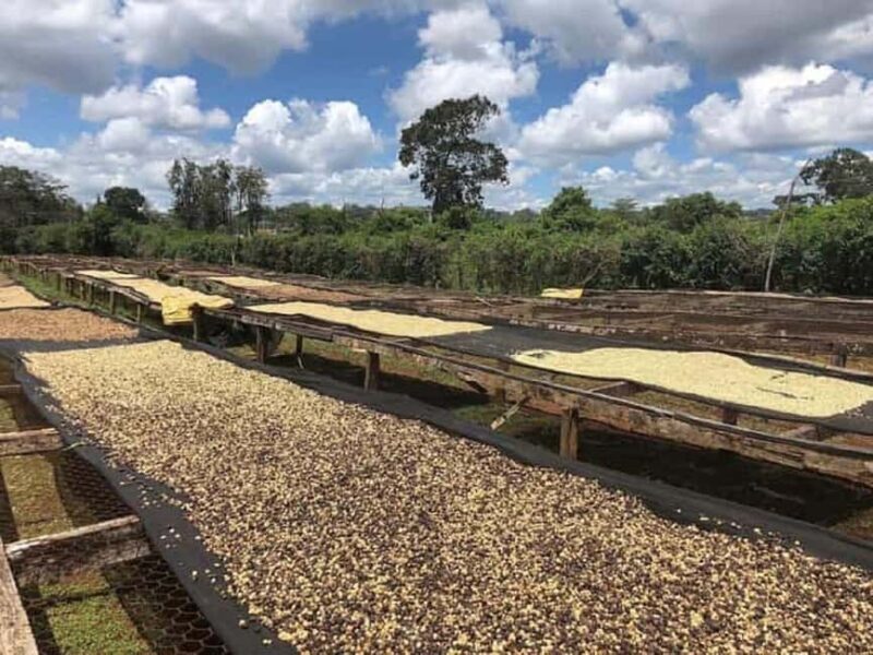 Nairobi: Coffee Factory and Farm Tour - FAQs