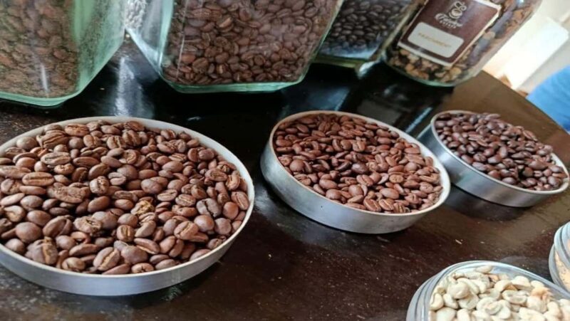 Nairobi: Coffee Factory and Farm Tour With Transfer - Key Points