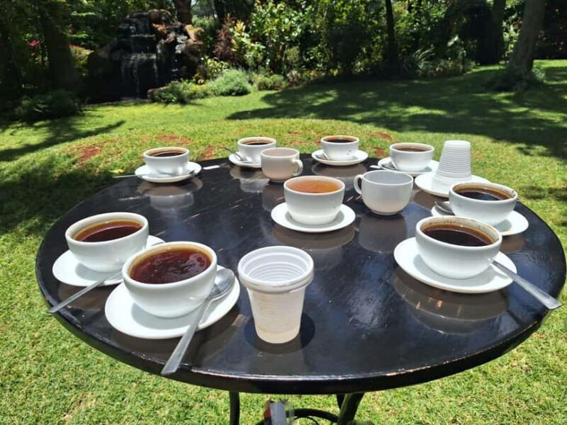 Nairobi Coffee Farm and Factory Tour - The Sum Up