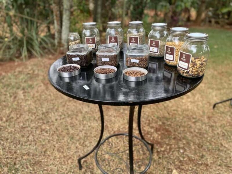 Nairobi Coffee Farm Half Day Tour (All Inclusive) - Key Points