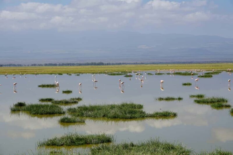 Nairobi: Day Tour to Amboseli National Park & Maasai Village - An Honest Look at the Itinerary and Experience