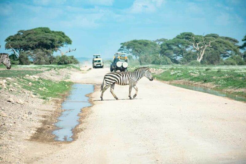 Nairobi: Day Tour to Amboseli National Park & Maasai Village - Final Thoughts