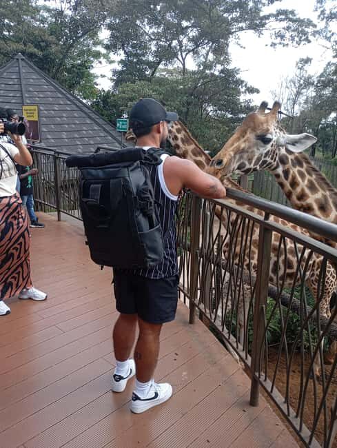 Nairobi: Elephant Sanctuary and Giraffe Center Day Tour - An In-Depth Look at the Nairobi Elephant Sanctuary and Giraffe Center Tour