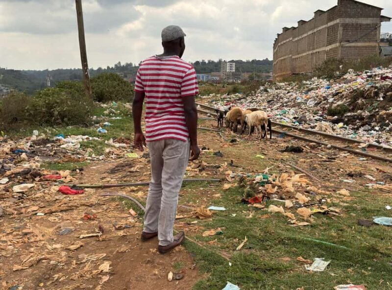 Nairobi: Explore Kibera Slum with Local Guides - Who Would Benefit Most from This Experience?