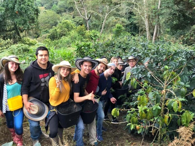 Nairobi: Fairview Coffee Estate Guided Tour with Tasting - Key Points