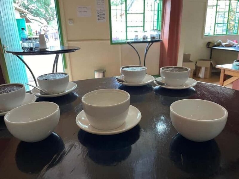 Nairobi: Fairview Coffee Estate Tour with Coffee Tasting - Key Points