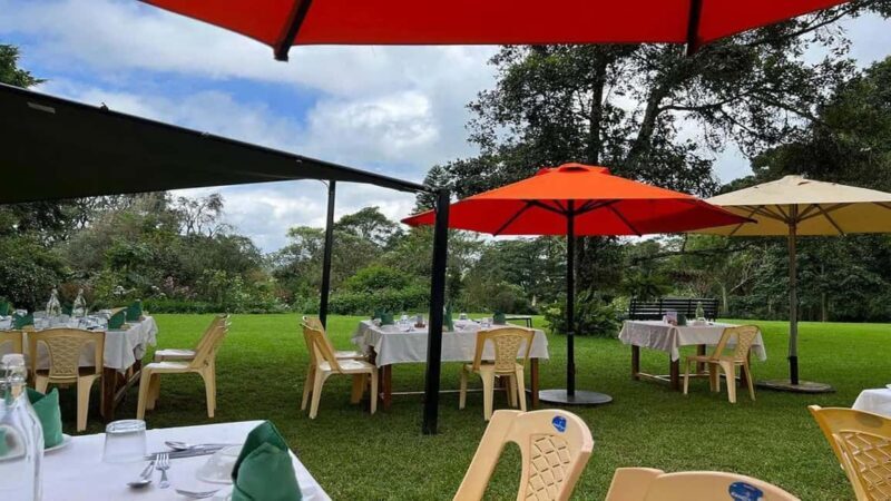 Nairobi: Fairview Coffee Estate Tour with Pickup - Nairobi: Fairview Coffee Estate Tour with Pickup — A Practical Guide for Coffee Lovers