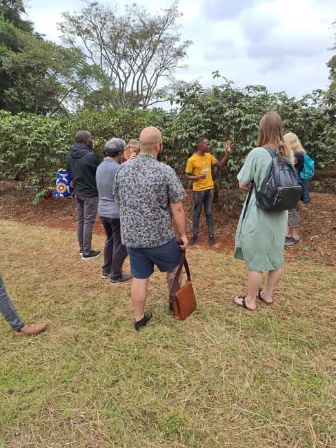 Nairobi: Fairview Coffee Farm Day Trip with Hotel Pickup - Who Will Love This Tour?