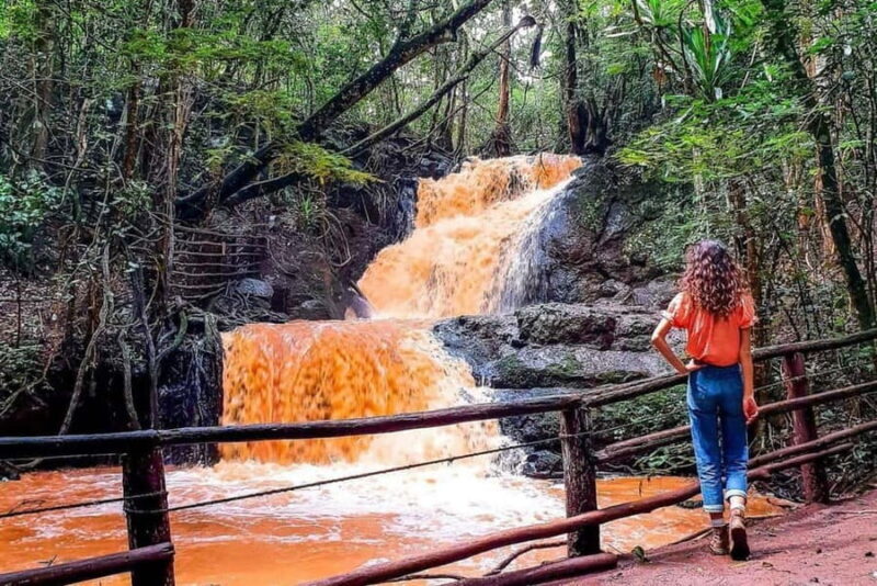 Nairobi: From Nairobi-Karura Forest Guided Walking Tour - Who Will Love This Tour?