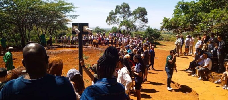 Nairobi: Giraffe Centre, Elephants, and Karen Blixen Museum - A Practical Guide to Your Nairobi Day Tour