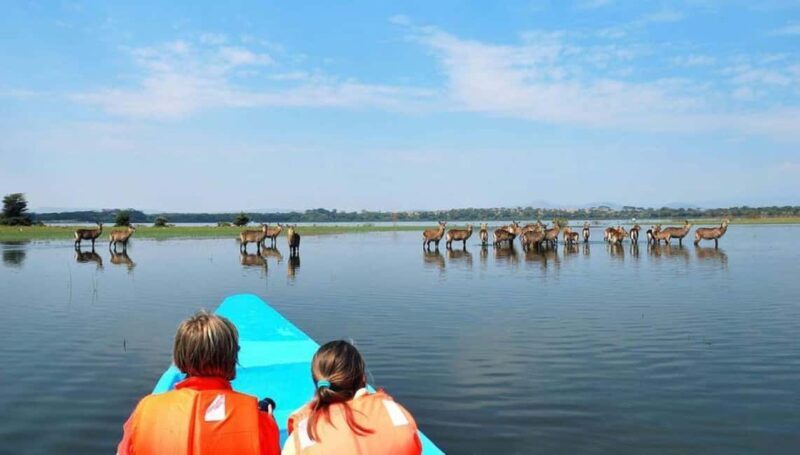Nairobi: Group Joining Lake Nakuru & Lake Naivasha Day Trip - Key Points