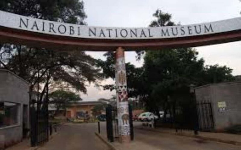 Nairobi: Guided City Tour with Nairobi National Museum Entry - Practical Details and Value