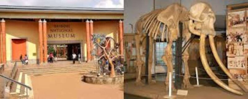 Nairobi: Guided City Tour with Nairobi National Museum Entry - FAQ
