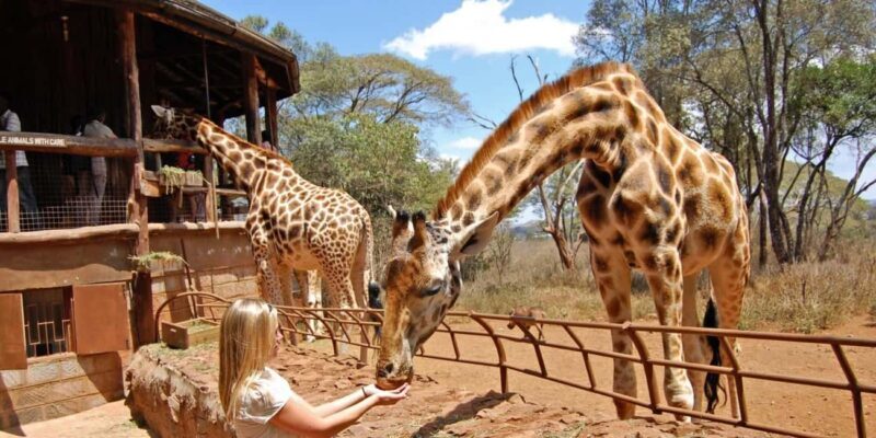 Nairobi Guided Tour to Giraffe Center & Kobe Beads Factory - Exploring Nairobi: Giraffe Center & Kobe Beads Factory – An Authentic Day Out