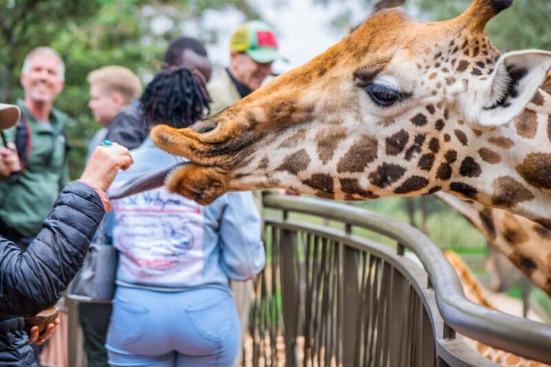 Nairobi Guided Tour to Giraffe Center & Kobe Beads Factory - Key Points