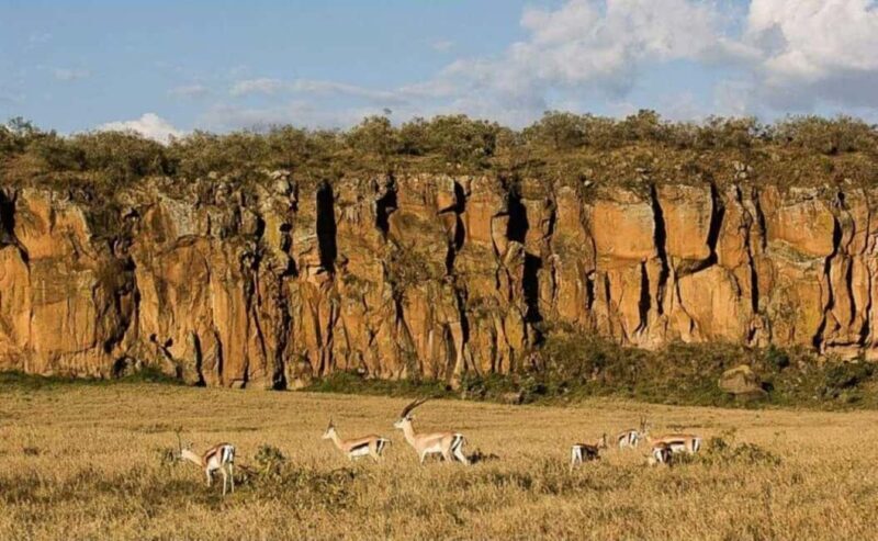 Nairobi: Hell's Gate National Park and Lake Naivasha Tour - Who Should Consider This Tour?