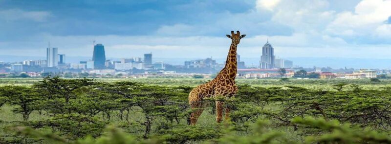 Nairobi: Karen Blixen Museum Experience Tours and Tickets - Key Points