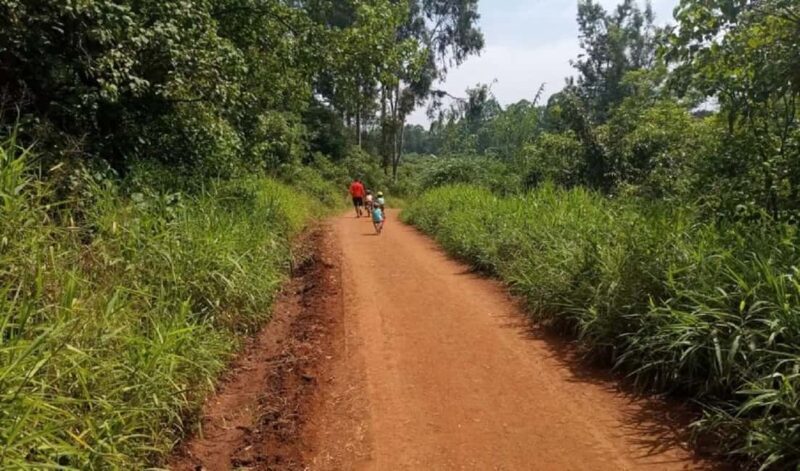 Nairobi: Karura Forest Nature Trail and Hike - Discovering Karura Forest: An Oasis in Nairobi