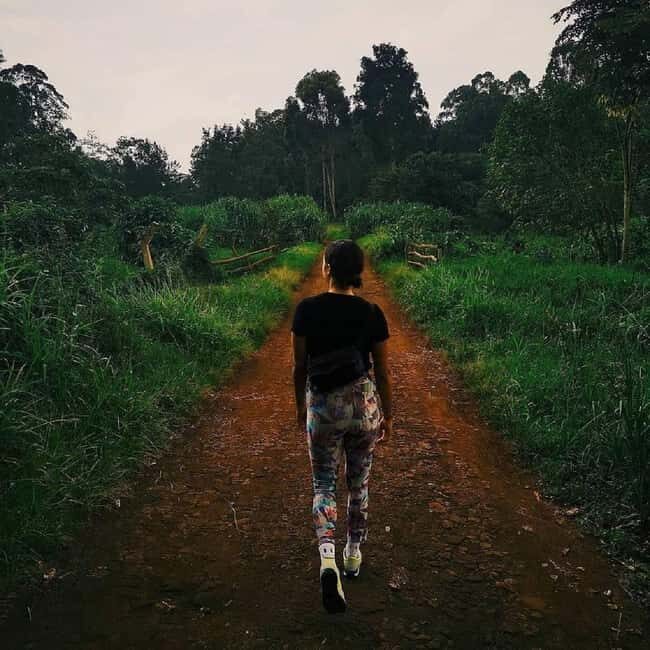 Nairobi: Karura Forest Nature Trail and Hike - The Real Value of the Experience