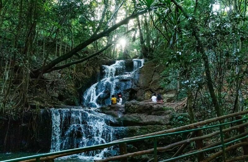 Nairobi: Karura Forest Nature Trail and Hike - FAQs