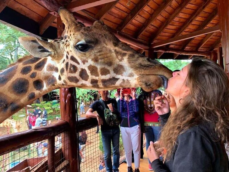 Nairobi: Kazuri Beads Factory Giraffe Center Karen Blixen - Key Points