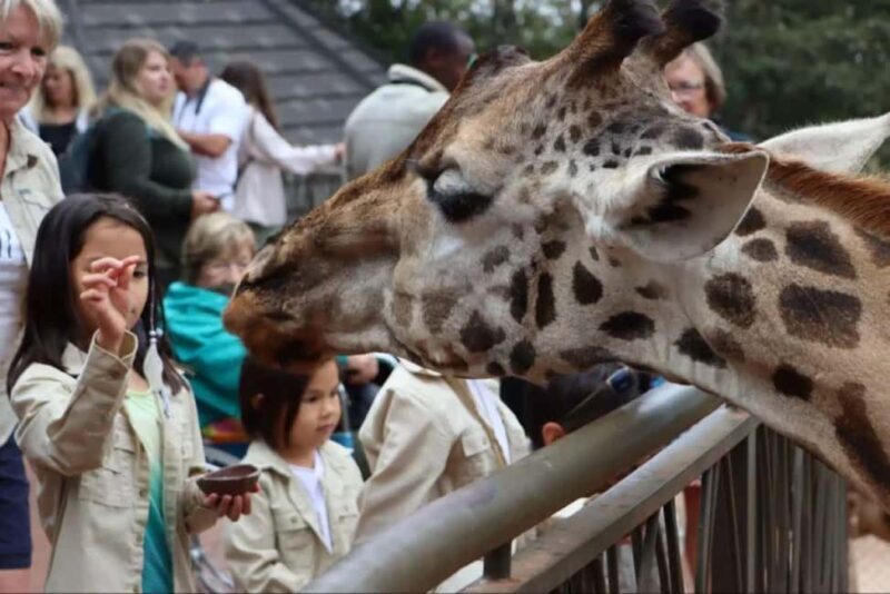 Nairobi: Kazuri Beads Factory Giraffe Center Karen Blixen - Giraffe Center: An Up-Close Wildlife Encounter