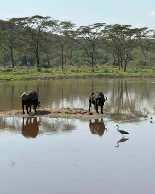Nairobi: Lake Naivasha & Hell's Gate National Park Day Trip - Practical Details: What to Know and Pack